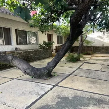 Casa En Venta,Ciudad del Sol,Avenida Cuauhtémoc 486, Zapopan, Jalisco 45050, 6 Habitaciones,4 Baños,Avenida Cuauhtémoc,1,pMEH8Hb