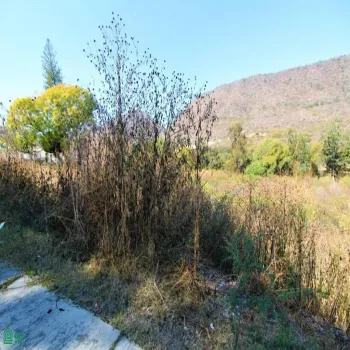 Terreno En Venta,Brisas de Chapala,Brisas del Norte Lote 30 MZ 11, Chapala, Jalisco 45901,Brisas del Norte,MX251055549