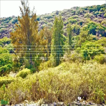 Terreno En Venta,Brisas de Chapala,Brisas del Sur Lote 78 MZ 11, Chapala, Jalisco 45901,Brisas del Sur,MX251055597