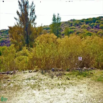 Terreno En Venta,Brisas de Chapala,Brisas del Sur Lote 78 MZ 11, Chapala, Jalisco 45901,Brisas del Sur,MX251055597