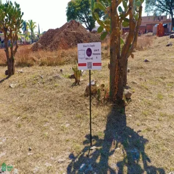 Terreno En Venta,Brisas de Chapala,Calle Brisas Norte and Tormenta Lote 9 Manzana 6, Chapala, Jalisco 45901,Calle Brisas Norte and Tormenta,MX251055600