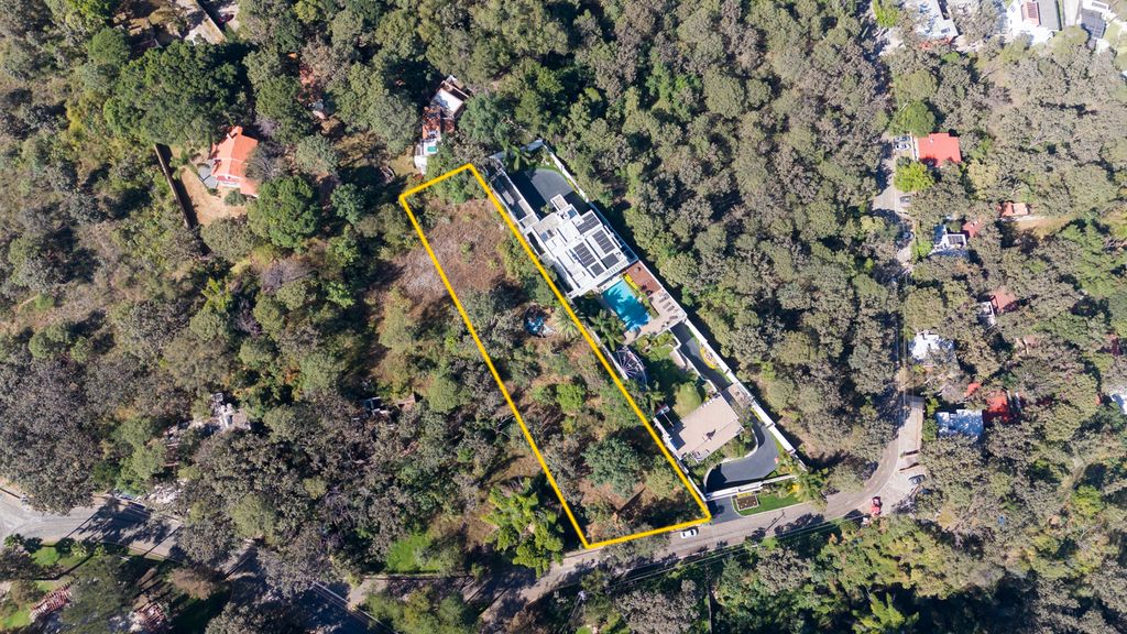 Pinar de la Venta Paseo del Pinar