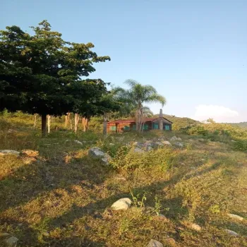 Terreno En Venta,Acatlán de Juárez Centro,PREDIO RUSTICO LA CEJA S/N, Acatlán de Juárez, Jalisco 45700, 5 Habitaciones,4 Baños,PREDIO RUSTICO LA CEJA,1,pzDFOce