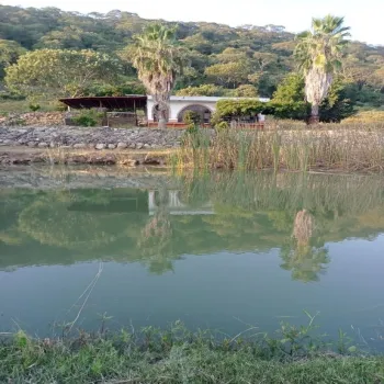 Terreno En Venta,Acatlán de Juárez Centro,PREDIO RUSTICO LA CEJA S/N, Acatlán de Juárez, Jalisco 45700, 5 Habitaciones,4 Baños,PREDIO RUSTICO LA CEJA,1,pzDFOce