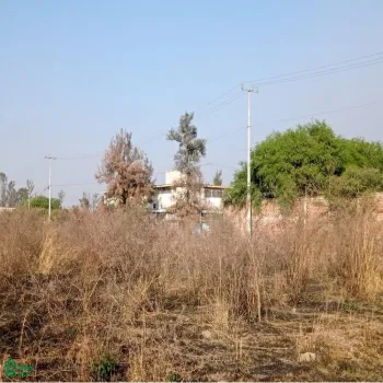 Edificio En Venta,Ejido El Zapote Del Valle,flor de loto S/N, Tlajomulco de Zuniga, Jalisco 45672,flor de loto,MX251062020