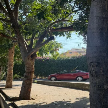 Terreno En Venta,Lomas del Paraíso I,Calle Porfirio Neri 4594, Guadalajara, Jalisco 44250,Calle Porfirio Neri,pNs396W