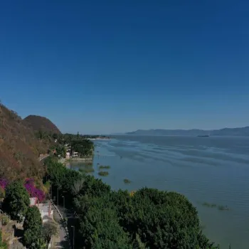 Terreno En Venta,Chapala,Carretera chapala, Jocotepec 907, Chapala, Jalisco 45900,Carretera chapala, Jocotepec ,pRnBdzn