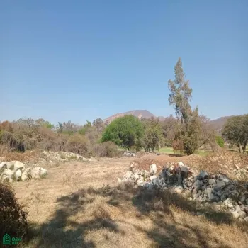 Terreno En Venta,San Nicolás de Ibarra,El callejón sn, Chapala, Jalisco, 45940, San Nico -, Chapala, Jalisco 45940,El callejón sn, Chapala, Jalisco, 45940, San Nico,MX251062726