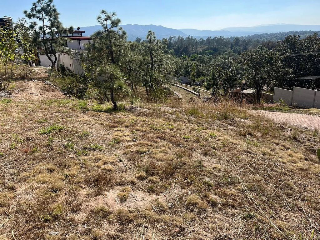 Haciendas de la Herradura Retorno del Ciruelo