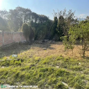 Terreno En Venta,Chapala Centro,FRACCIÓN 7 DE LA MANZANA 5, UBICADA DENTRO DEL FR 7, Manzana 5, Chapala, Jalisco 45900,FRACCIÓN 7 DE LA MANZANA 5, UBICADA DENTRO DEL FR,MX261067312