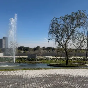 Terreno En Venta,Vallarta Universidad,Avenida Juan Palomar y Arias S/N, Zapopan, Jalisco 45110,Avenida Juan Palomar y Arias,p5Lg5Kx