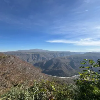 Departamento En PreVenta,San Miguel de Huentitán,Calle Camichines y/o Felix Vera 3750, Guadalajara, Jalisco 44300, 1 Cuarto,2 Baños,Calle Camichines y/o Felix Vera,1,pQsQGxn