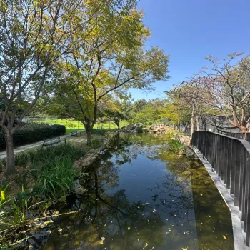 Departamento En Venta,El Vigía,Blvd del Rodeo 1001, Zapopan, Jalisco 45140, 1 Cuarto,1 Baño,Artpark,Blvd del Rodeo,15,723308