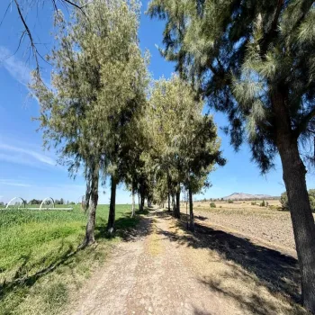 Terreno En Venta,Rancho el cueto S/N, Encarnación de Díaz, Jalisco 47270, 4 Habitaciones,4 Baños,Rancho el cueto,1,pPD1hNr