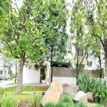Casa En Venta,Fracc. Los Castaños Vallarta Universidad,Avenida Naciones Unidas S/N, Zapopan, Jalisco 45110, 3 Habitaciones,4 Baños,Avenida Naciones Unidas,2,pAVuGfI