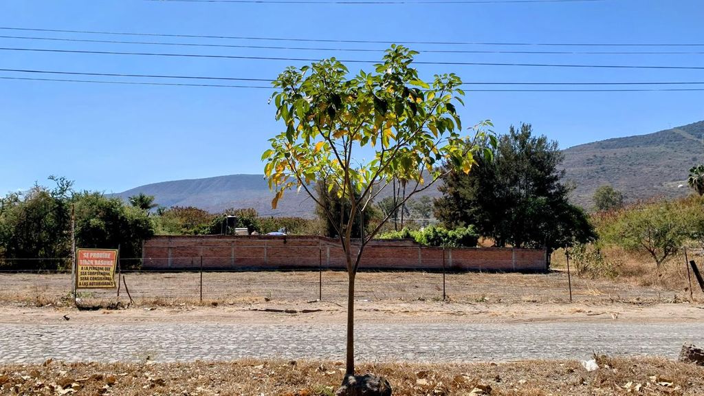 Avenida de la Carpa
