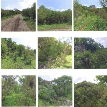 Terreno En Venta,Balcones de la Calera,Av. Lomas de Cajititlán S/N, Tlajomulco de Zúñiga, Jalisco 45670,Av. Lomas de Cajititlán,pY2QqBq