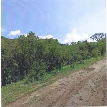 Terreno En Venta,Balcones de la Calera,Av. Lomas de Cajititlán S/N, Tlajomulco de Zúñiga, Jalisco 45670,Av. Lomas de Cajititlán,pY2QqBq