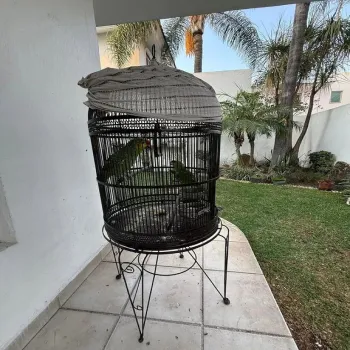 Casa En Venta,Puerta de Hierro,Vereda del Halcón S/N, Zapopan, Jalisco 45116, 3 Habitaciones,4 Baños,Vereda del Halcón,2,pJ2YxE6