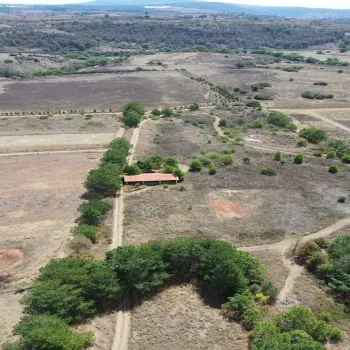 Terreno En Venta,Atacco,Francisco I. Madero S/N, Tapalpa, Jalisco 49340,Francisco I. Madero,pMe5ADY