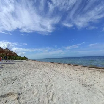 Terreno En Venta,Telchac Puerto,Xitibcanul S/N, Sinanché, Yucatán 97424,Xitibcanul,p2Q7yHh