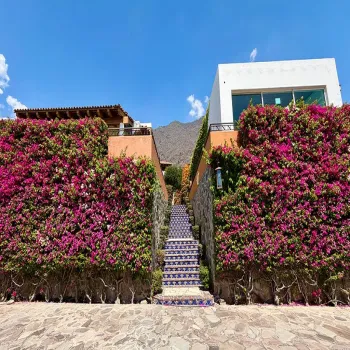 Casa En Renta,Raquet Club,Calle el Limón 263, Jocotepec, Jalisco 45820, 2 Habitaciones,2 Baños,Calle el Limón,1,pxPyQMx