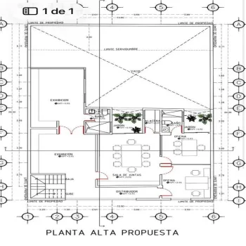 Casa En Venta,Vallarta Universidad,Avenida Juan Palomar y Arias 1249, Zapopan, Jalisco 45110, 5 Habitaciones,5 Baños,Avenida Juan Palomar y Arias,2,pQCfmNq