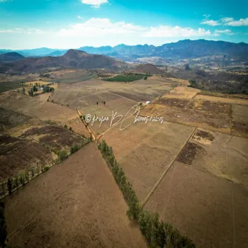 Terreno En Venta,Primavera S/N, Mixtlán, Jalisco 46850, 4 Habitaciones,1 Baño,Primavera,1,pzsIQlT