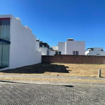 Terreno En Venta,Arbolada Bosques de Santa Anita,Bosques S/N, Tlajomulco de Zúñiga, Jalisco 45645,Bosques,ppkmJvG