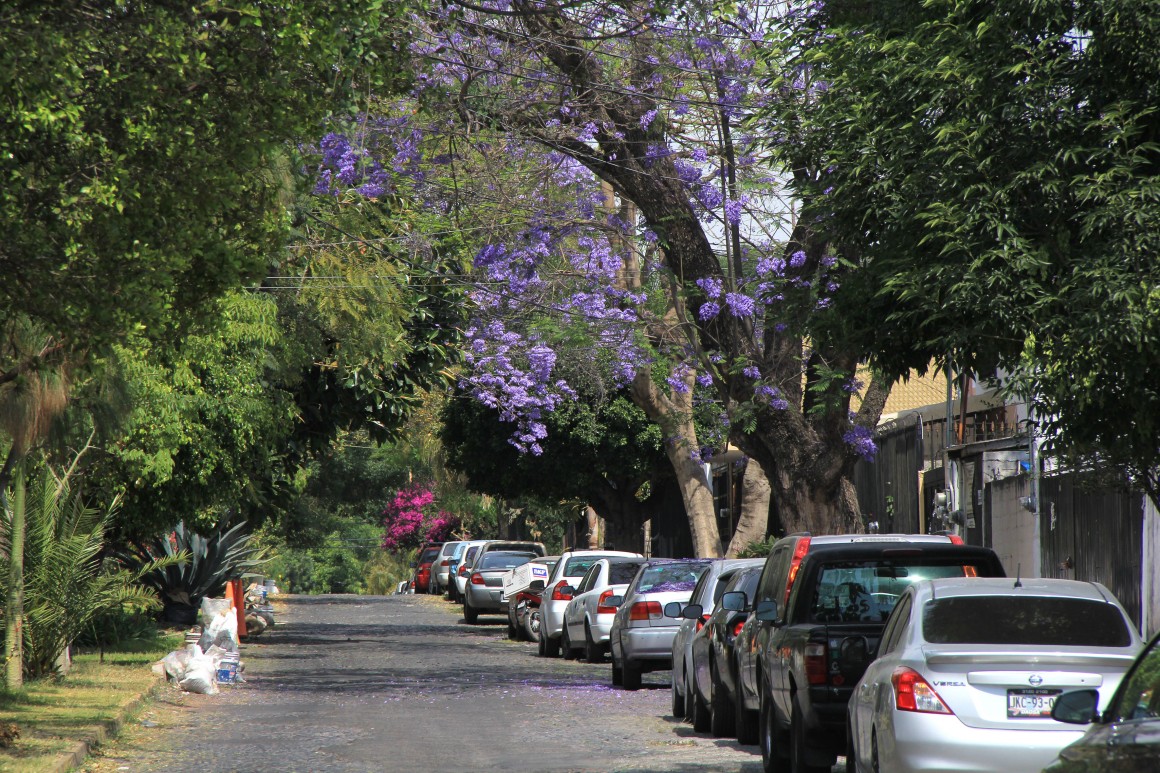 en Ciudad Granja