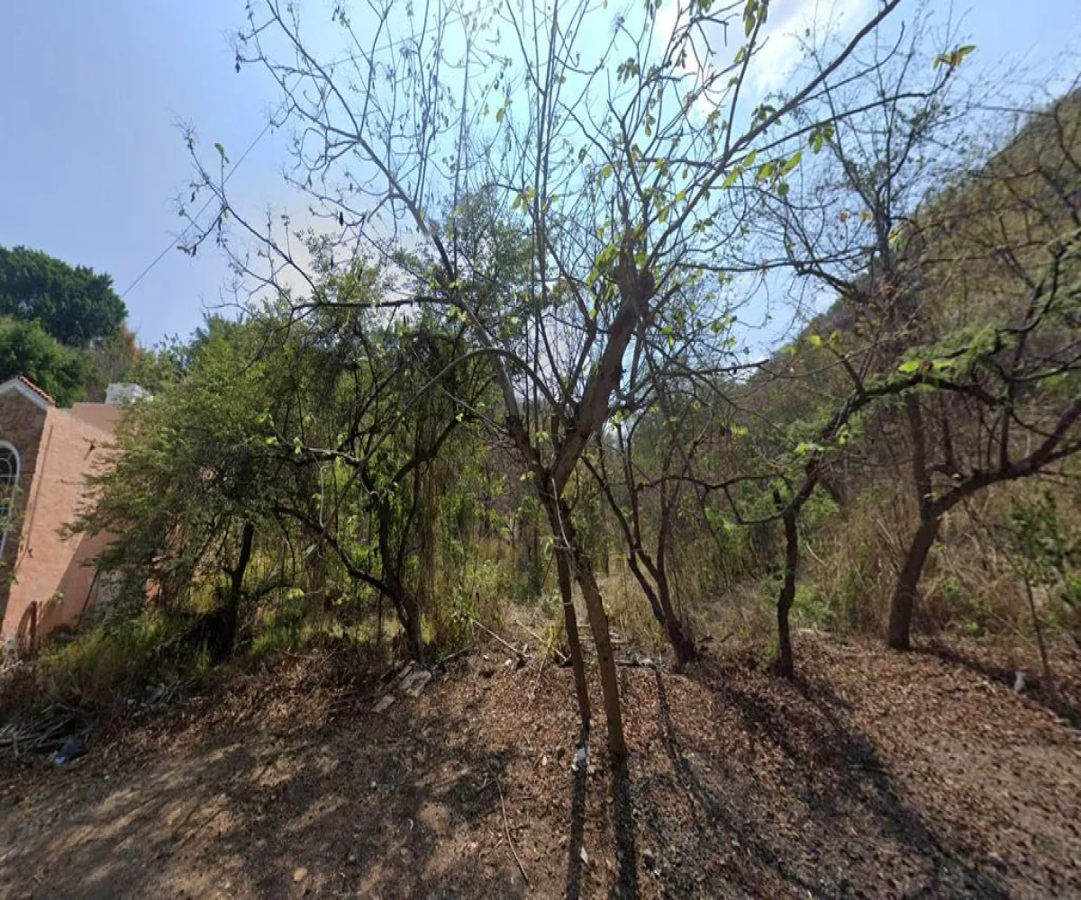 Terreno En Venta,Bosques de San Isidro (Las Cañadas),Bosque de Mazamitla Lote 20 6, Zapopan, Jalisco 45140,Bosque de Mazamitla ,pFHU14d