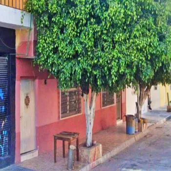 Casa En Venta,Prados Del Nilo,Isis 833, Guadalajara, Jalisco 44840, 4 Habitaciones,3 Baños,Isis,2,486736