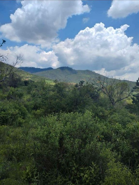 Tapalpa Predio Rustico