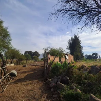 Terreno En Venta,Zapotlanejo Centro,20 de Noviembre S/N, Zapotlanejo, Jalisco 45430,20 de Noviembre,pnoeVZe