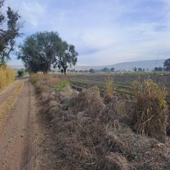 Terreno En Venta,Zapotlanejo Centro,20 de Noviembre S/N, Zapotlanejo, Jalisco 45430,20 de Noviembre,pnoeVZe