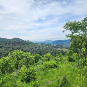 Terreno En Venta,Santa Lucia,Oriente del Predio Rustico Cerro y Anexas SN, Zapopan, Jalisco 45200,Oriente del Predio Rustico Cerro y Anexas ,pR8x4sy