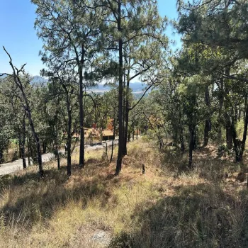 Terreno En Venta,Tapalpa,SN lote 19, Tapalpa, Jalisco 49340,SN,pVpaG1E