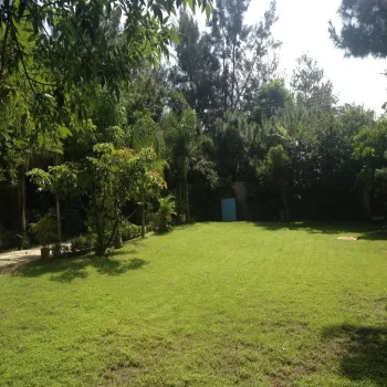 Terreno En Venta,Campestre Las Palomas,Condor Lote 2, Manzana 6 S/N, Zapopan, Jalisco 45200,Condor Lote 2, Manzana 6,pwJENlX