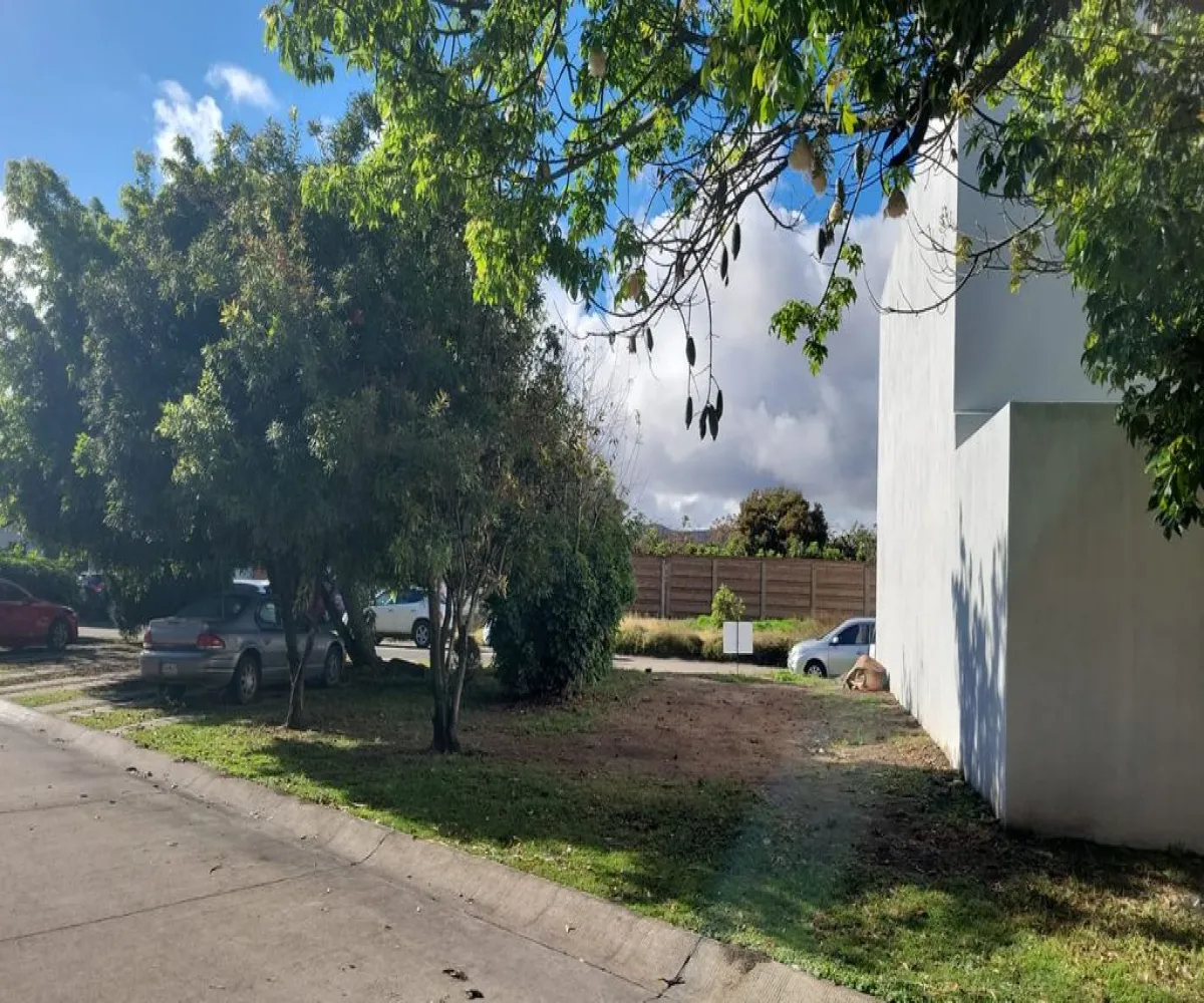 Terreno En Venta,Los Manzanos,Camino a las Moras 601 157, Jal., Jalisco 45645,Camino a las Moras,1,ptyUWMq