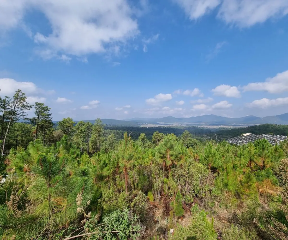 Terreno En Venta,Fraccionamiento Bosques de la Cañada,Km 5.5 Carretera la frontera Atemajac de Brizuela 25, Tapalpa, Jalisco 49368,Km 5.5 Carretera la frontera Atemajac de Brizuela ,1,pO7U4Iw