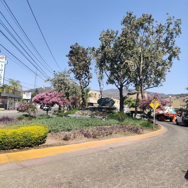 Bosques Santa Anita Av Principal