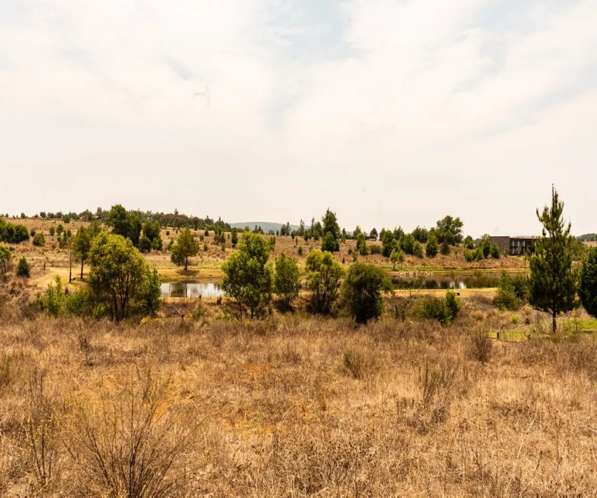 Terreno En Venta,Los Espinos,Los Reflejos S/N, Tapalpa, Jalisco 49346,Los Reflejos,pgvmkLF