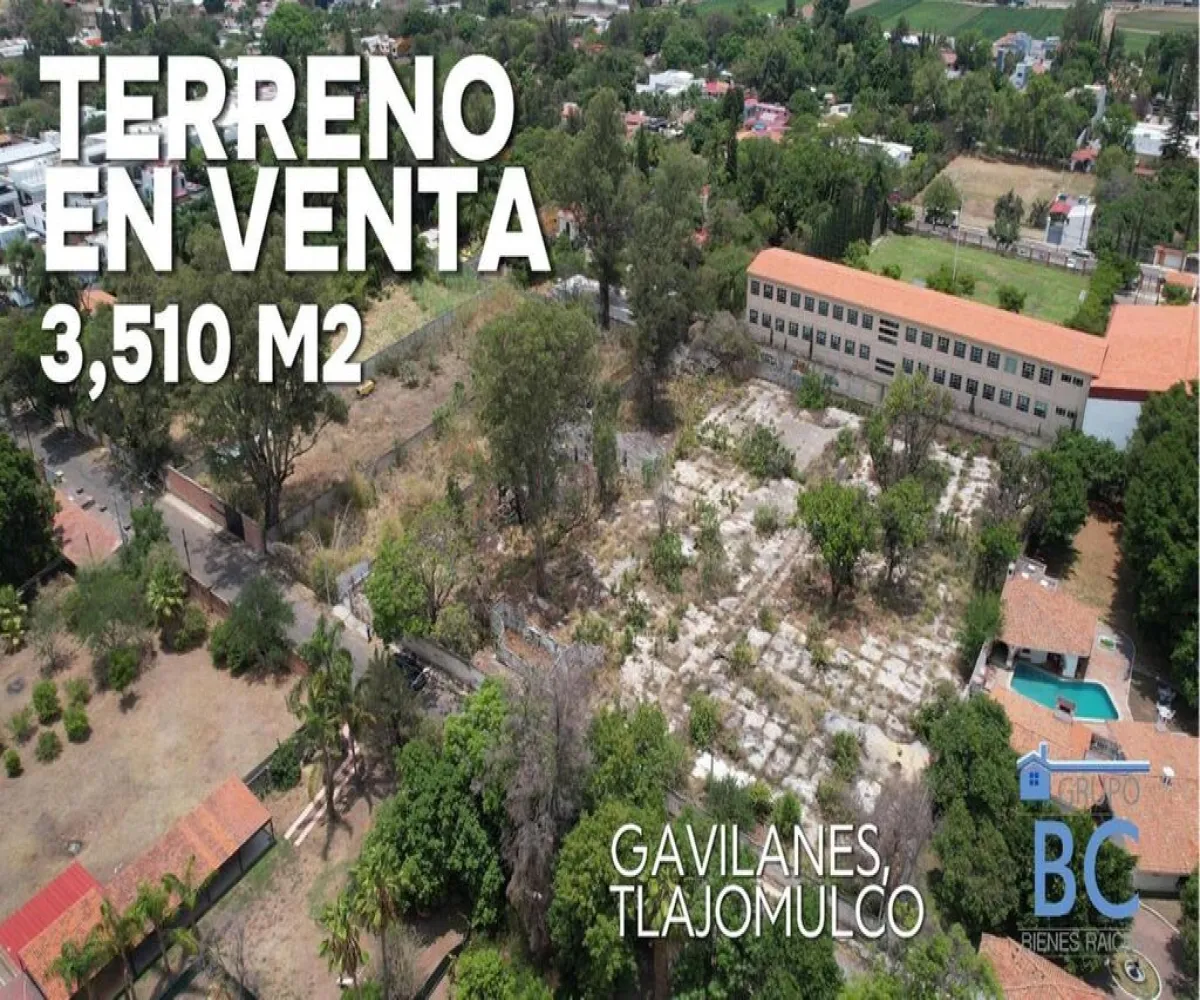 Terreno En Venta,Los Gavilanes,Morelos S/N, Tlajomulco de Zúñiga, Jalisco 45640,Morelos,pKG3Hsd