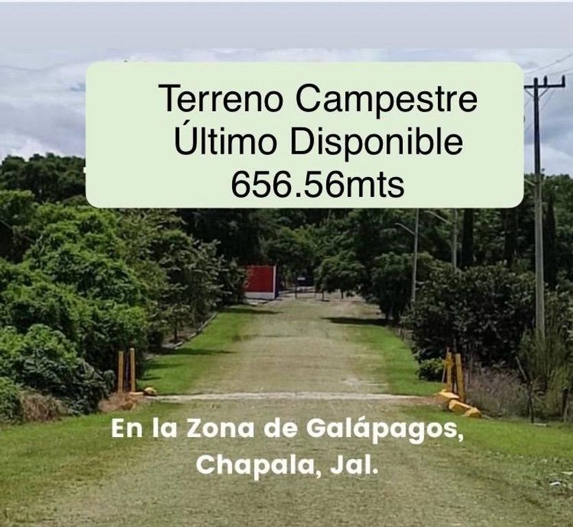 Fracc Nuevo Chapala avenida los galapagos