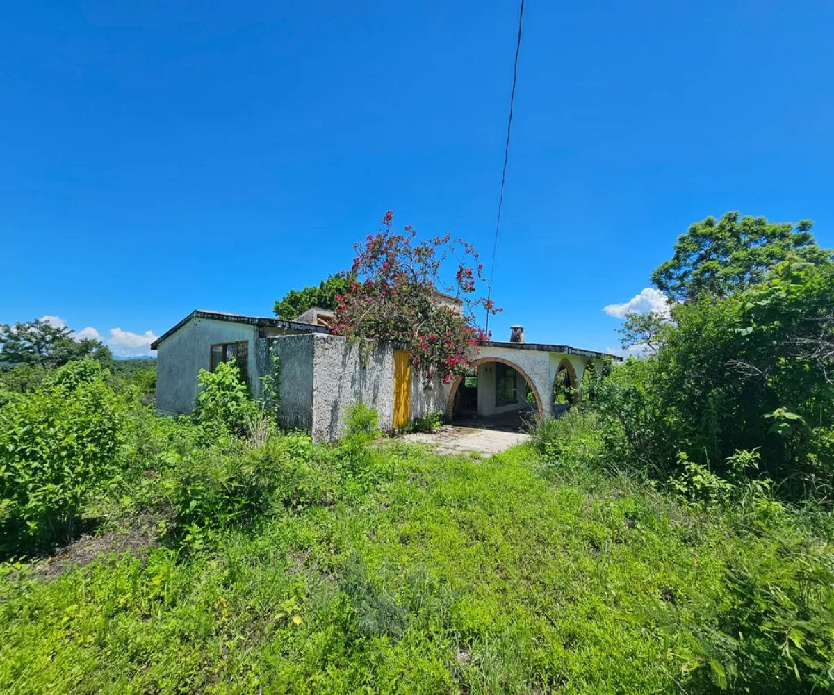 Terreno En Venta,Carretera a Palmarejo S/N, Moyahua de Estrada, Zacatecas 99998,1 Baño,Carretera a Palmarejo,1,peOyPkG