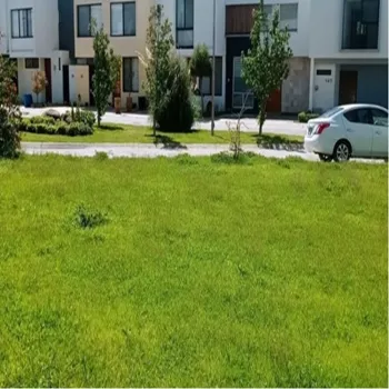 Terreno En Venta,Fraccionamiento Valle Imperial,Av. Del bosque 1230 Real Coto Encino 38, Zapopan, Jalisco 45134,Av. Del bosque 1230 Real Coto Encino,681254