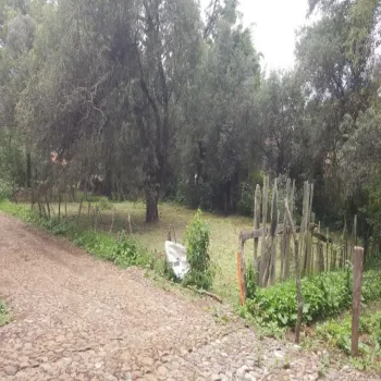 Terreno En Venta,Mazamitla,El Coporo S/N, Mazamitla, Jalisco 49500,El Coporo,pkfbKp6