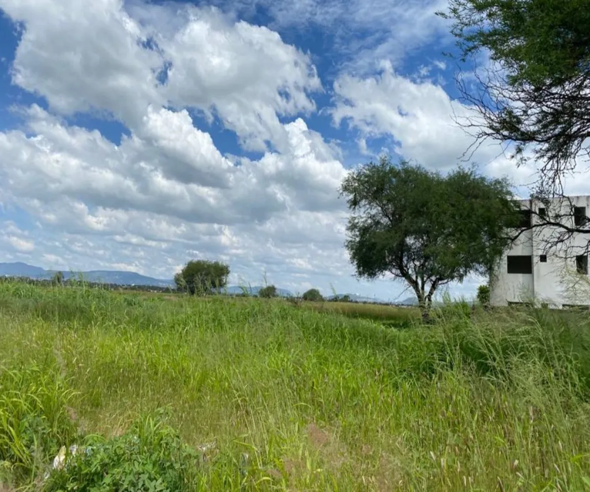 Terreno En Venta,Concepción del Valle,Camino a La Presa S/N, Tlajomulco de Zúñiga, Jalisco 45653,Camino a La Presa,pApGb2F