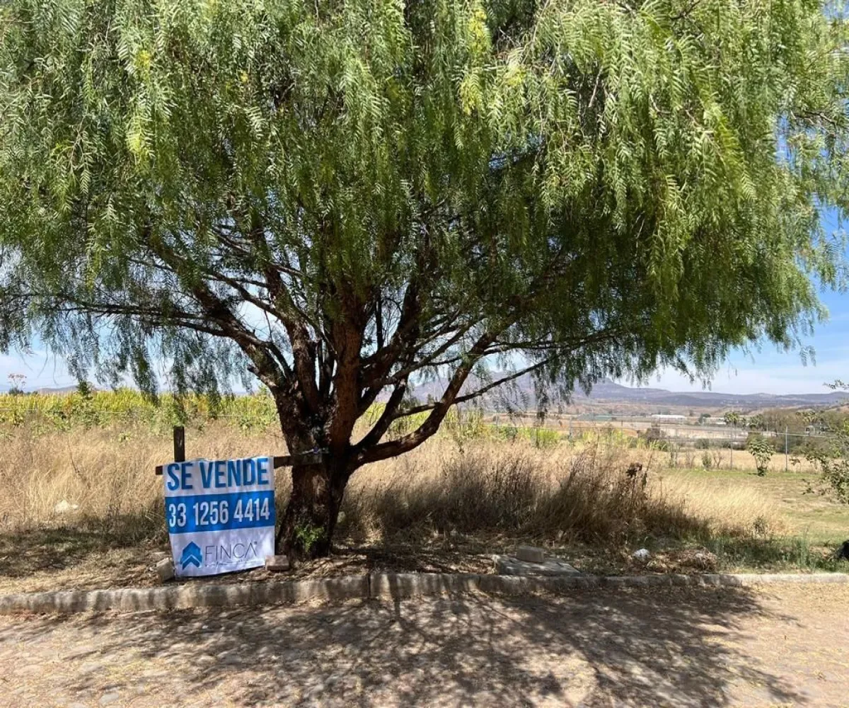 Terreno En Venta,El Arenal,Circuito Tala 13, El Arenal, Jalisco 45368,Circuito Tala ,pjaaUuG