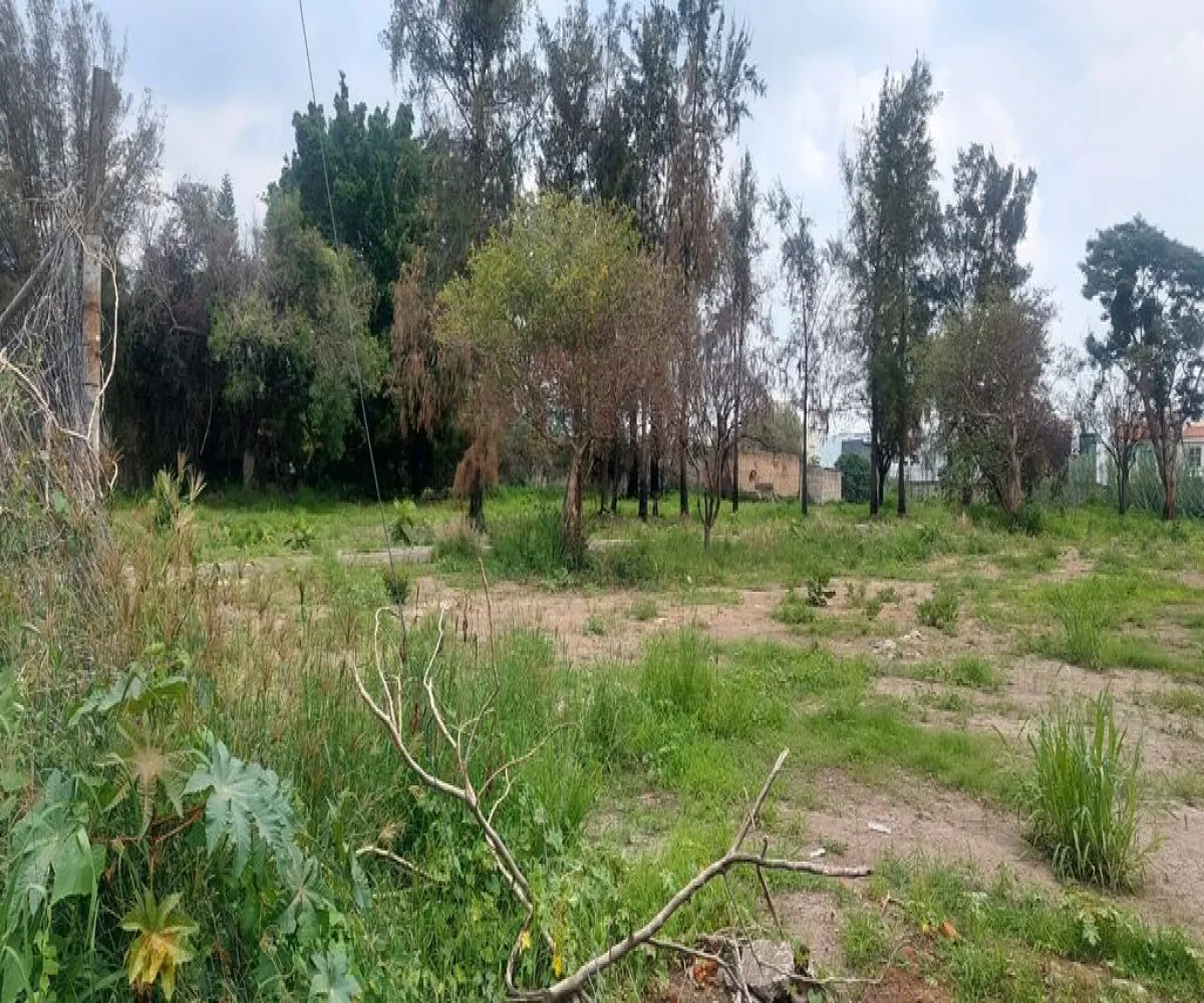 Terreno En Venta,Los Gavilanes Poniente,Hidalgo 355, Tlajomulco de Zúñiga, Jalisco 45645,Hidalgo,pQtSQ9I